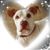 Michele Ritter-Ellwood's profile image