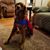 Abby Thompson's profile image