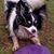 Russell Westwood's profile image