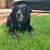 Jennifer Spillane's profile image