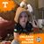 Melissa Allen's profile image