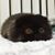Michele Collison's profile image