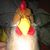 Pascal de Jongh's profile image