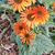 Jennifer Terry Mathis's profile image