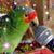 Sue StClair's profile image