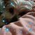 Jena Allred's profile image
