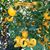 Cathie Ferro's profile image