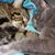 Shelly Hribar's profile image