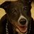 Pat Killeen's profile image