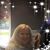 Joann Hiers Merritt's profile image