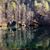 Lori Kekel's profile image
