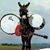 Steve Harwood's profile image