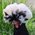 Matt Thornton's profile image