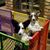 Sherilyn Maloney-Mumme's profile image