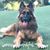 Tracy K. Viciedo-Hernandez's profile image