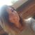 Veronica Crawford's profile image
