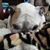 Catherine Sisneros-Drueke's profile image