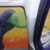 Zoe Iffin's profile image