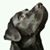 Barbara Mcgowan Scott's profile image