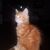Leigh Eiland Creasman's profile image
