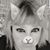 Kim Wolfe's profile image