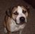 Stephanie Schmidtbauer's profile image