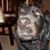 Corrine Tull's profile image
