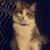 Kat Marie's profile image