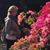 Laurence Arnoult's profile image