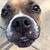 Dawn Helgert Fleming's profile image