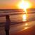 Matthew Frisbie's profile image