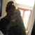 Kylee Lynne Meredith's profile image