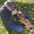 Ron Robertson's profile image