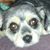 Brenda Sugita Seeley's profile image