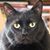 Lena Reeves's profile image