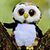 Laura K. Cofman's profile image