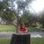 Theresa Frankel's profile image