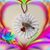 Robin Schroder's profile image