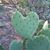 Kathy Montrees Gutierrez's profile image