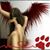 Sandra Novak's profile image