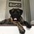 Kerrianne Wilmer's profile image