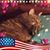 Mandy Luker's profile image