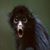 Mike Beish's profile image
