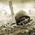 Cody Messer's profile image