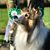 Ariel Agenbroad's profile image
