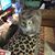 Dawn Rudl's profile image