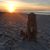 Jill Mulholland's profile image