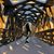 Brooklyn Rasmussen's profile image
