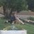 Danna Stovner's profile image