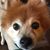 Karen Sonnenberg's profile image